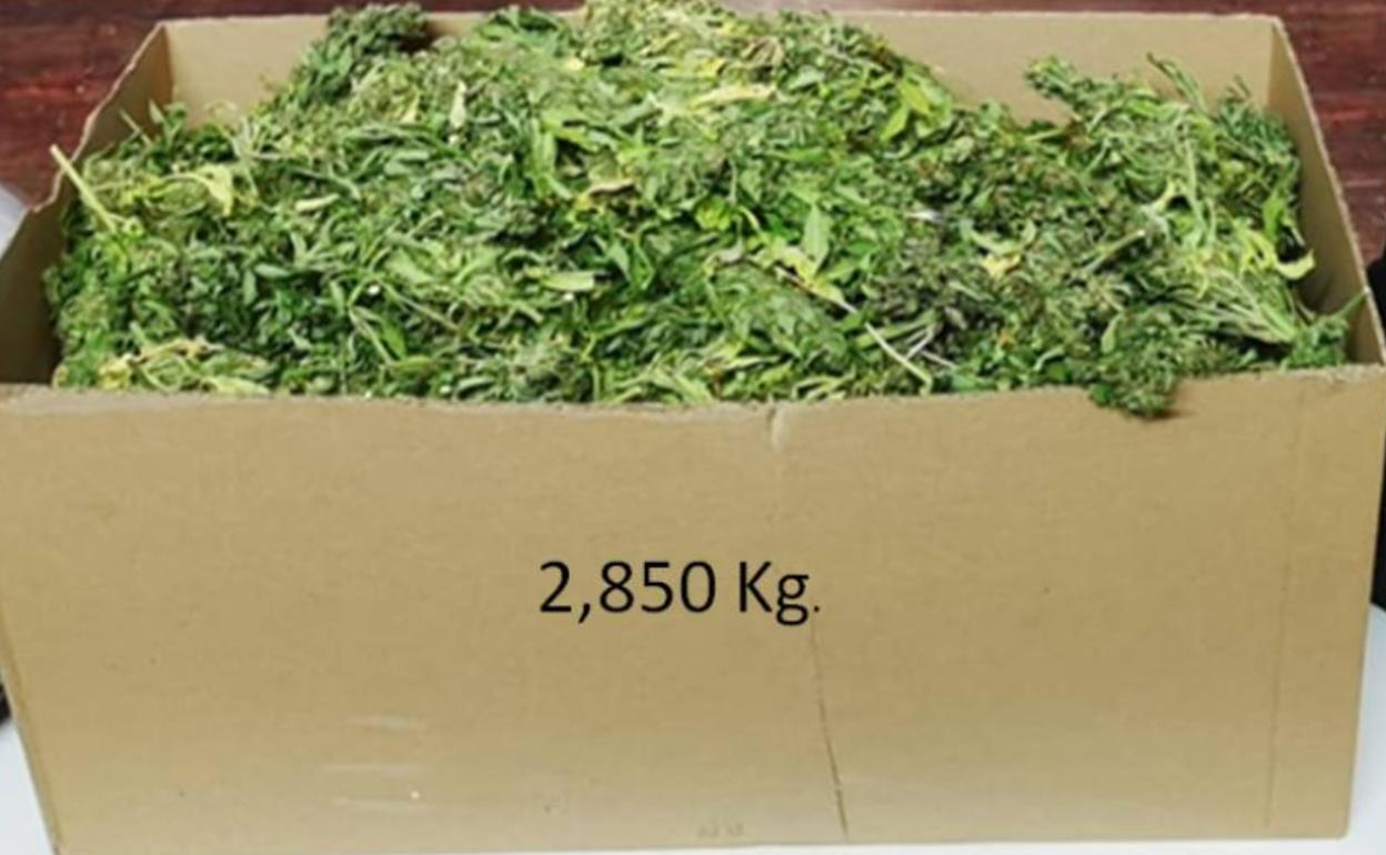 La Policía Local de Palencia interviene 2,8 kilos de marihuana en un vehículo
