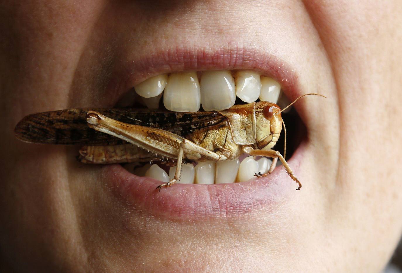 Una mujer posa con una langosta entre los dientes,