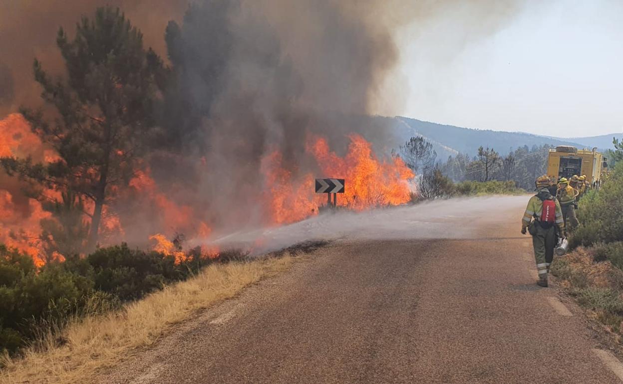 Los bomberos atacan al fuego junto a una carretera en las Batuecas. 