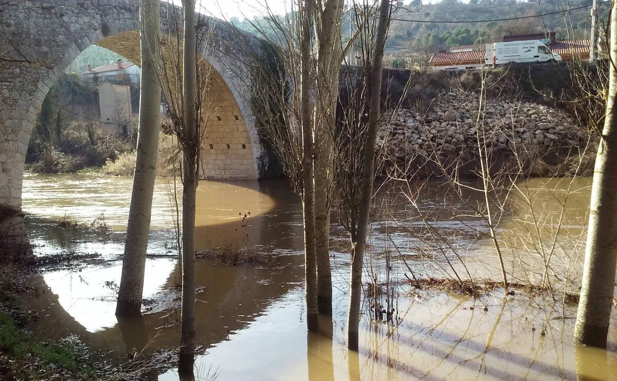 «¡Olé! por los que han apostado por Megeces y los megezanos»