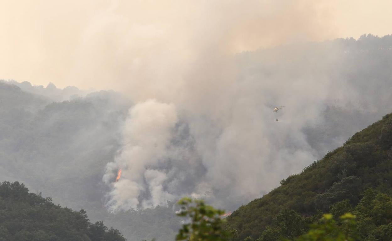 Incendio en Paradaseca. 