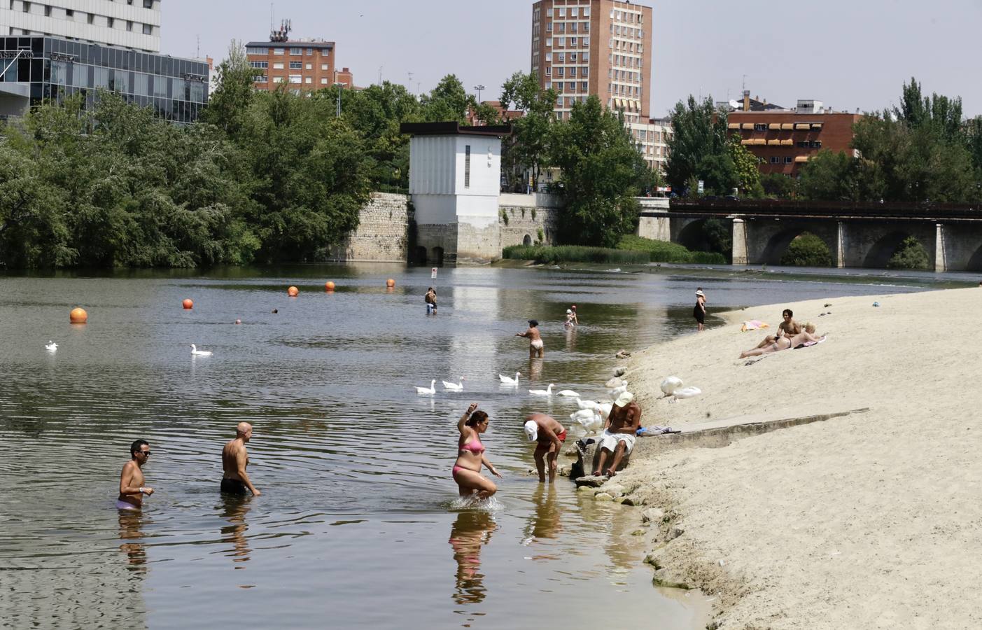 Fotos: El agua del Pisuerga en las Moreras, no apta para el baño