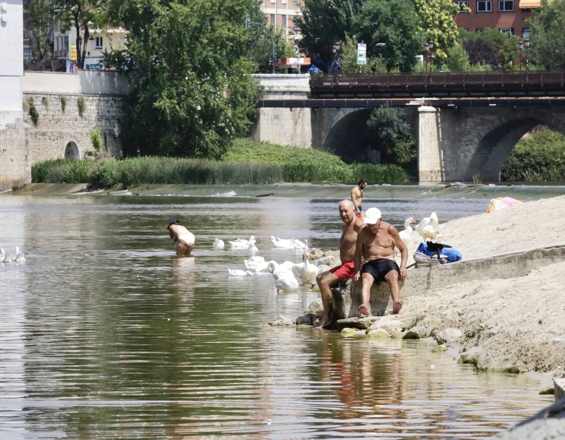 Fotos: El agua del Pisuerga en las Moreras, no apta para el baño