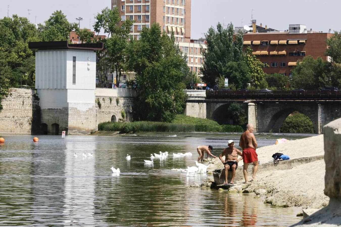 Fotos: El agua del Pisuerga en las Moreras, no apta para el baño