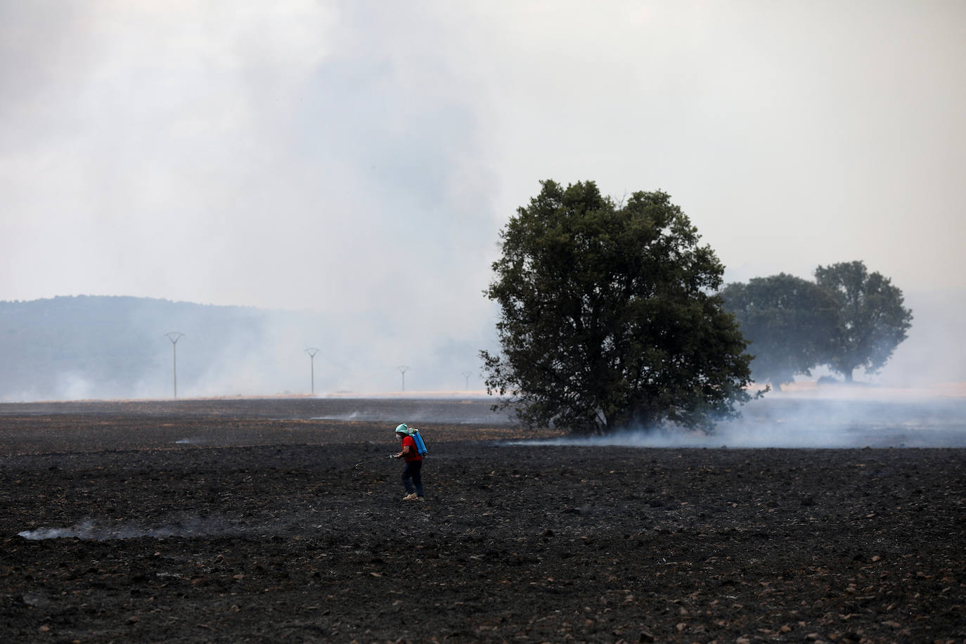 Fotos: Las imágenes del voraz incendio Losacio en Zamora