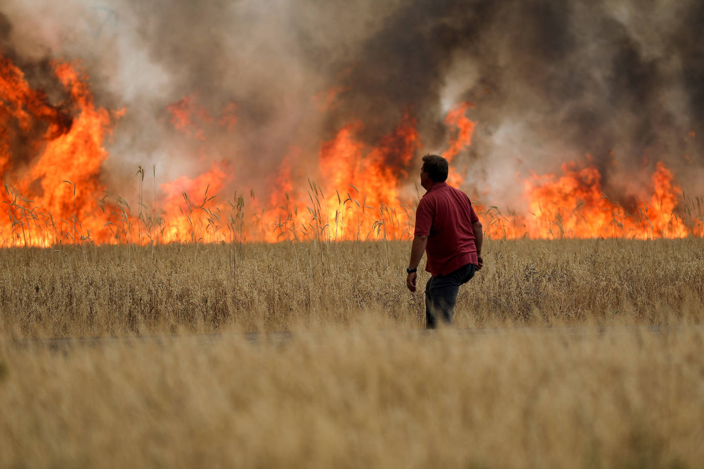 Fotos: Las imágenes del voraz incendio Losacio en Zamora