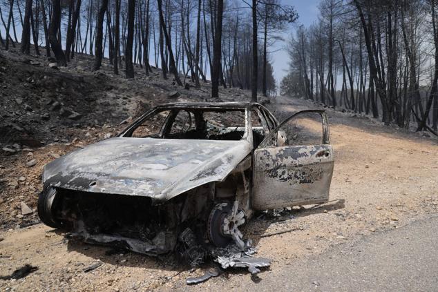 Fotos: El incendio de Losacio en imágenes