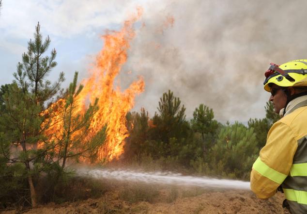 Fotos: El incendio de Losacio en imágenes