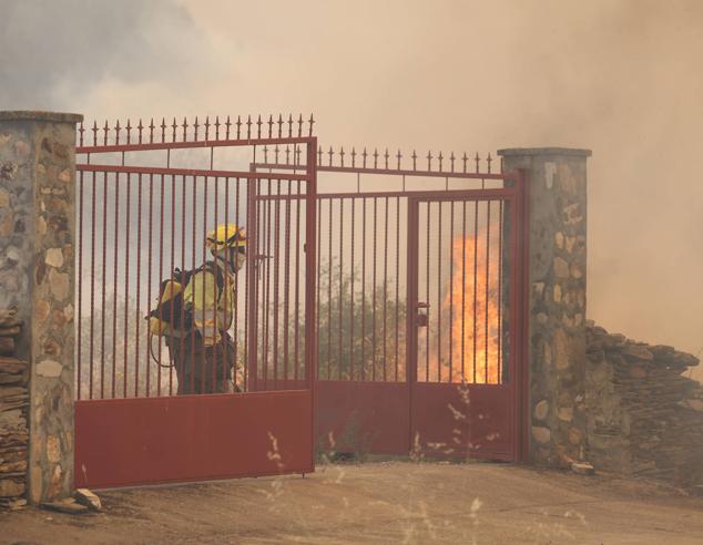 Fotos: La Unidad Militar de Emergencias mantiene desplegados 101 efectivos, 75 vehículos y seis medios aéreos