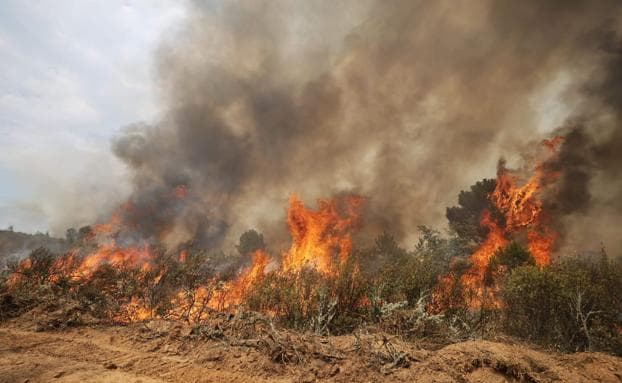 Mapa comparativo: superficie quemada en Losacio y La Sierra de la Culebra