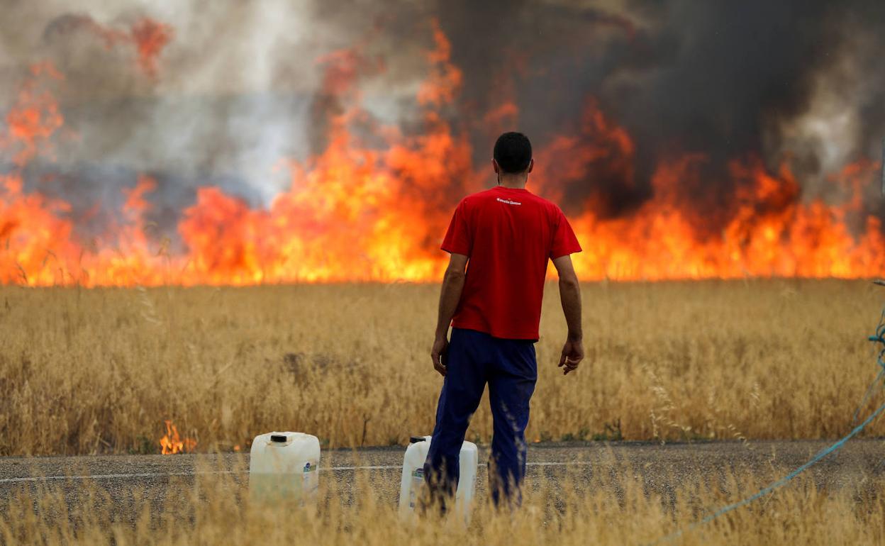 Un pastor observa cómo se quema un campo de trigo entre Tábara y Losacio (Zamora).