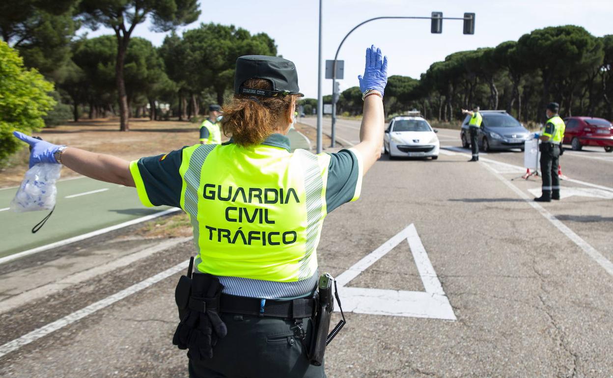 Control de alcoholemia de la Guardia Civil en el pinar de Antequera. 