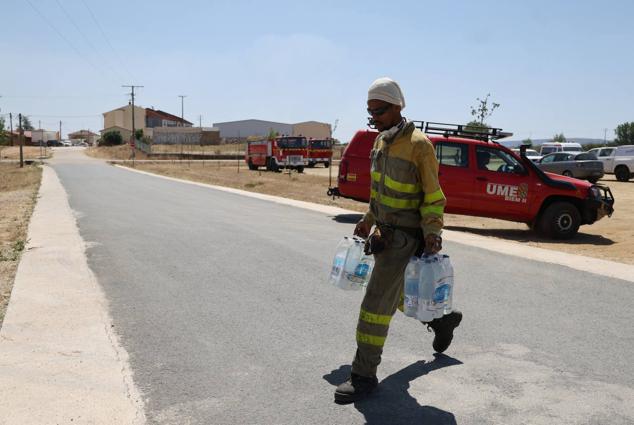 Fotos: Incendio de Losacio: Los ganaderos son obligados a trasladar su ganado