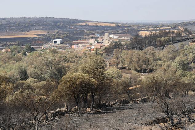 Fotos: Incendio de Losacio: Los ganaderos son obligados a trasladar su ganado