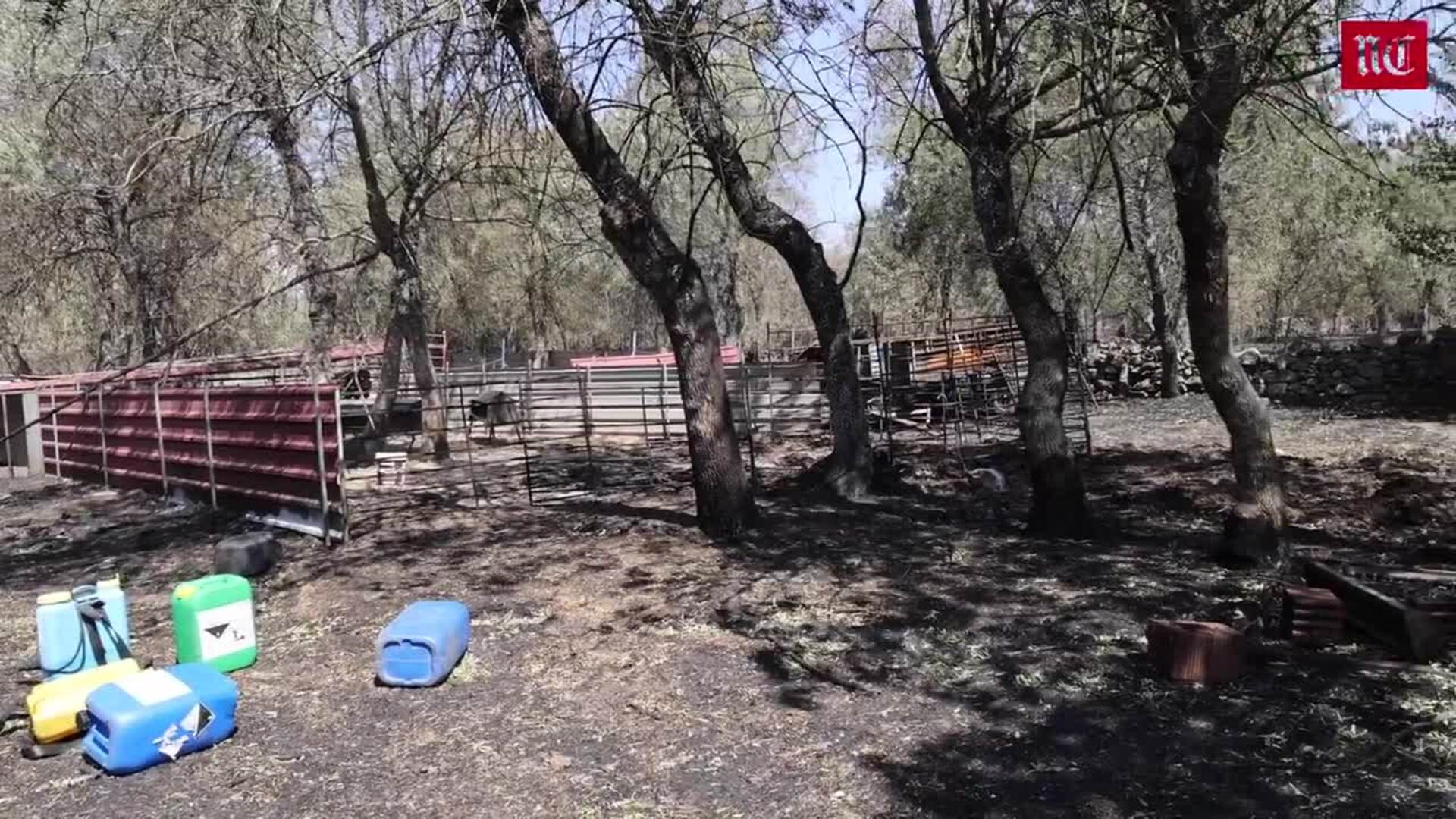 «Era como un tornado de fuego, como los que ves por la tele de Estados Unidos», explica un ganadero afectado por el incendio de Zamora