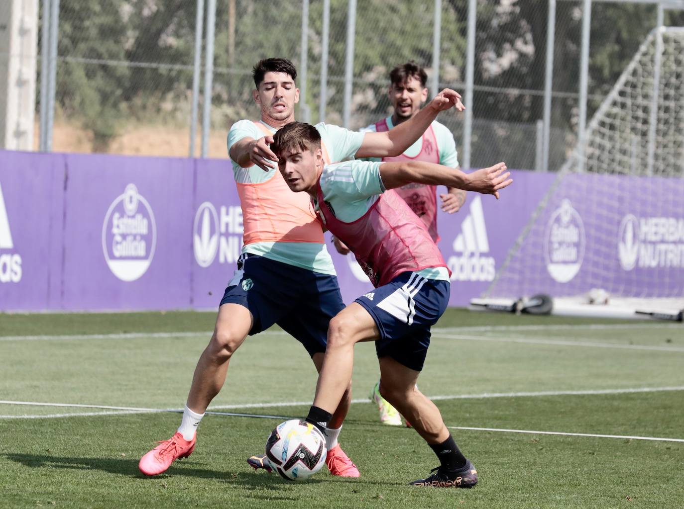 Fotos: Entrenamiento del Real Valladolid