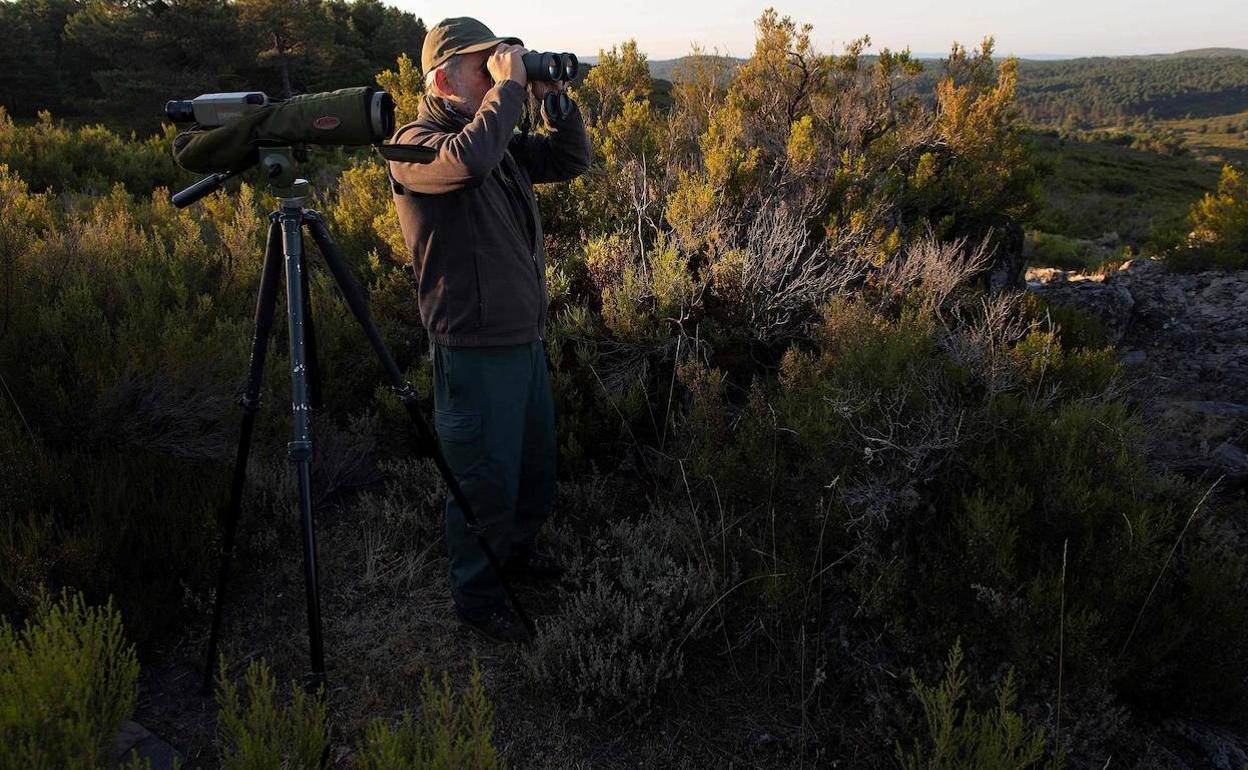 Un observador de fauna en un paraje de la zona de Puebla de Sanabria. 