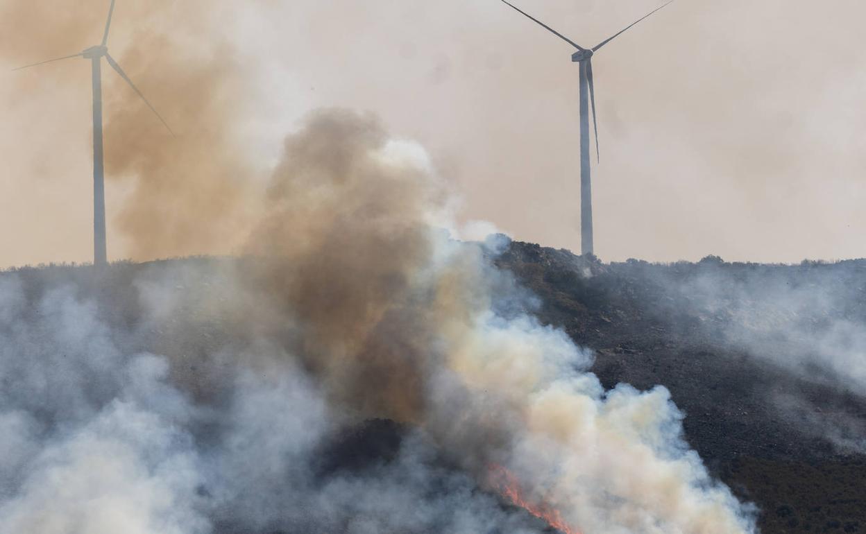 Avance del fuego en un paraje de la localidad zamorana de Losacio.