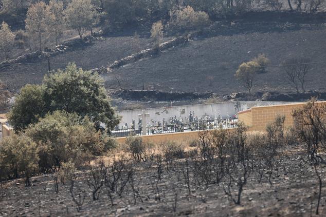 Fotos: San Martín de Tábara: El día después al voraz incendio