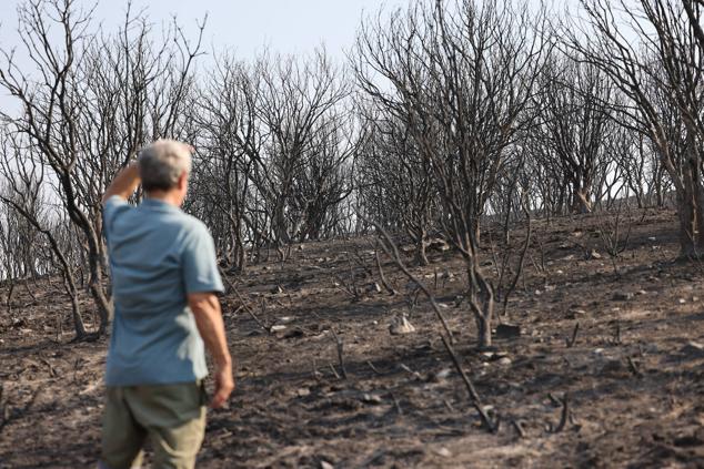 Fotos: San Martín de Tábara: El día después al voraz incendio