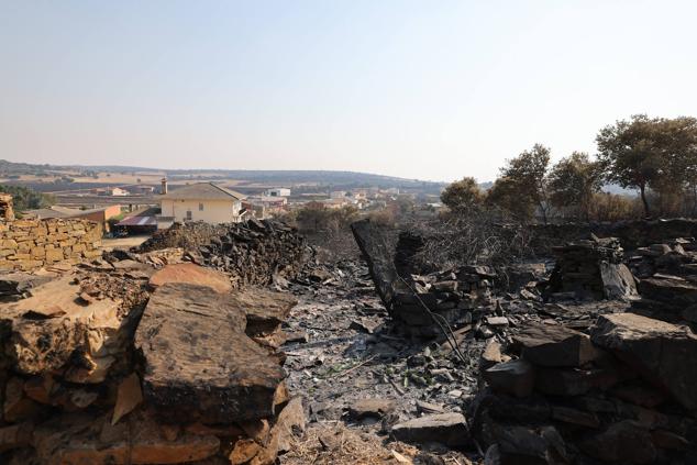 Fotos: San Martín de Tábara: El día después al voraz incendio