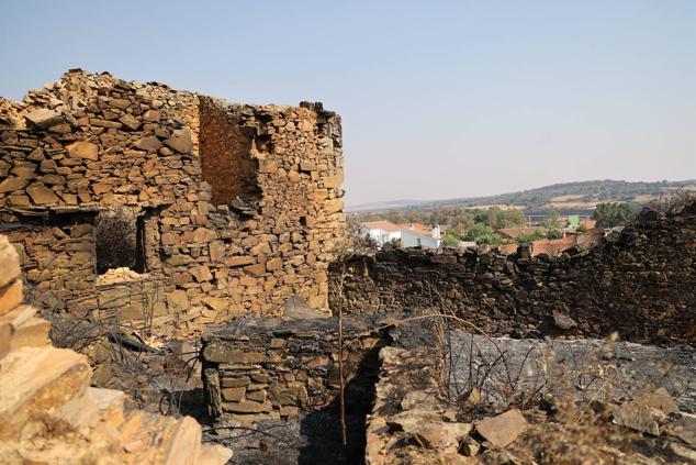 Fotos: San Martín de Tábara: El día después al voraz incendio