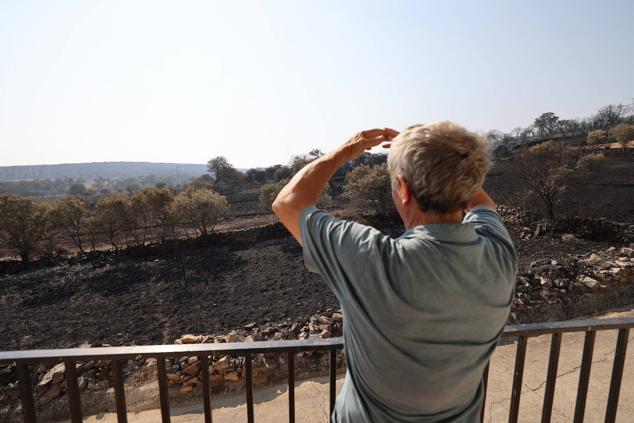 Fotos: Desolación e incredulidad de los vecinos de San Martín de Tábara al ver el paisaje