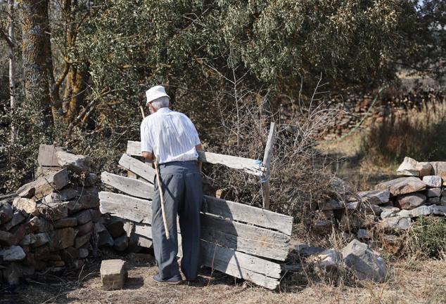 Fotos: Desolación e incredulidad de los vecinos de San Martín de Tábara al ver el paisaje