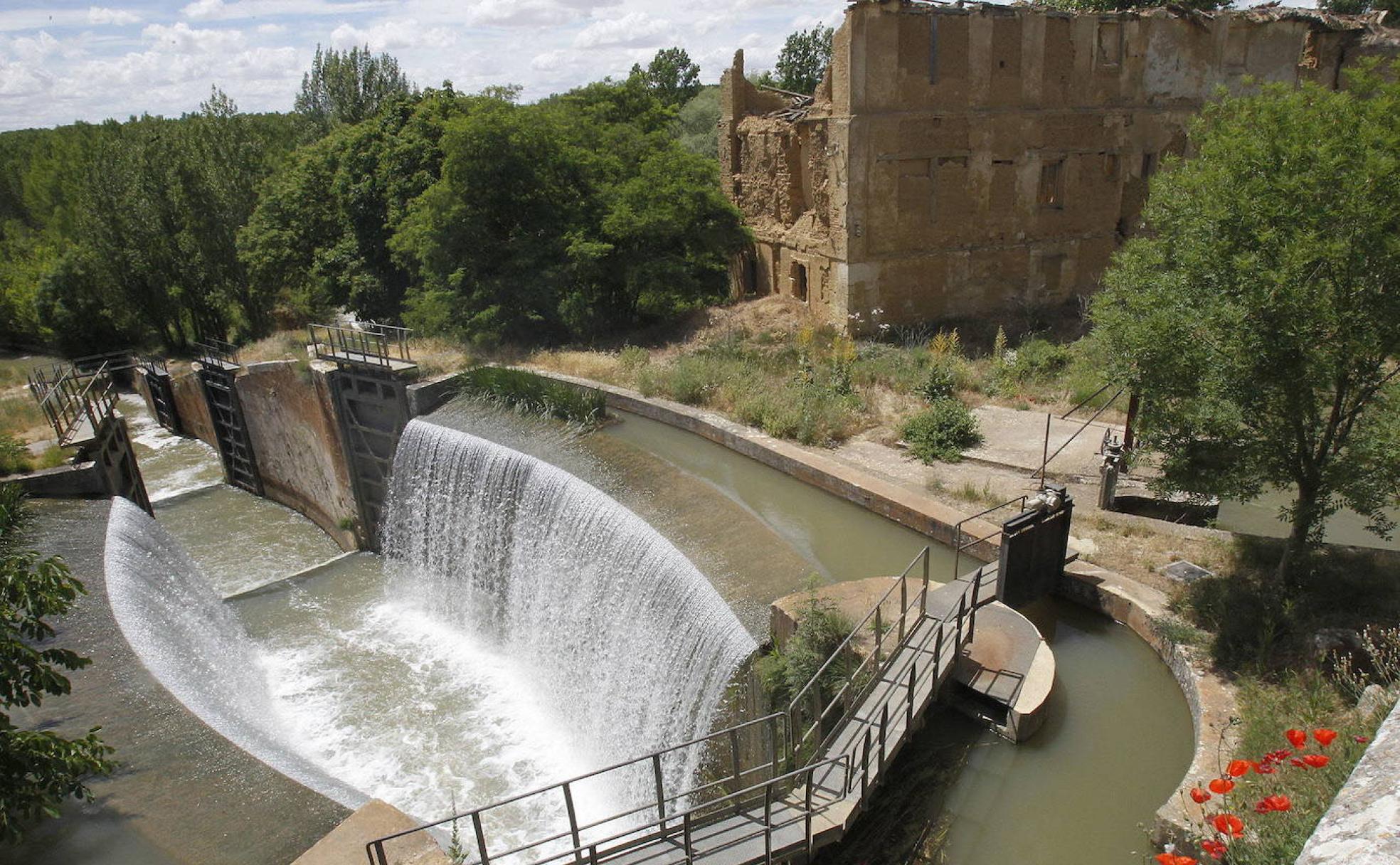 Ribas de Campos: un legado histórico encauzado por el Canal