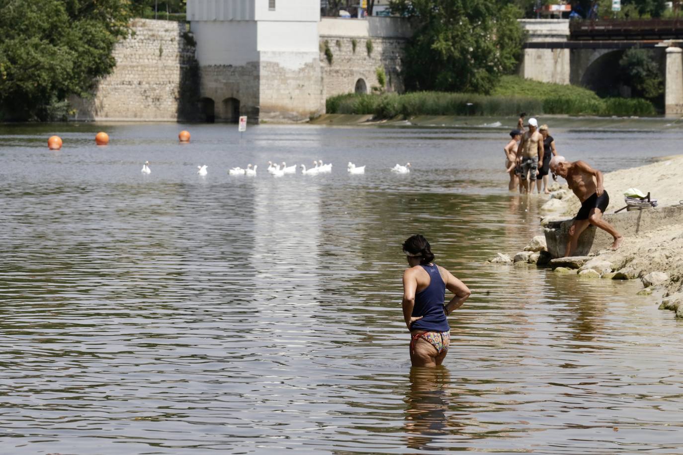 La Junta considera «apta» para el baño Las Moreras, pero lo desaconseja a personas enfermas