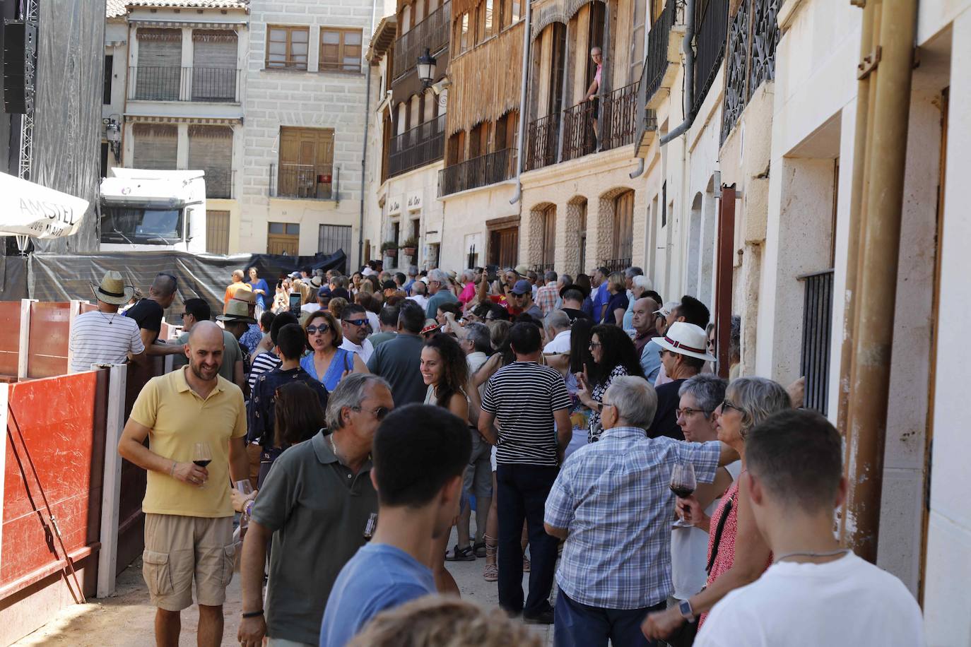 Fotos: Celebración de los 40 años de Ribera del Duero en Peñafiel