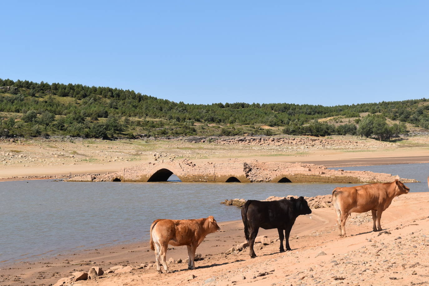 Fotos: Los pueblos inundados por el pantano de Aguilar afloran de nuevo