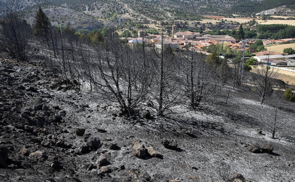 Incendio en la comarca del Arlanza (Burgos). 