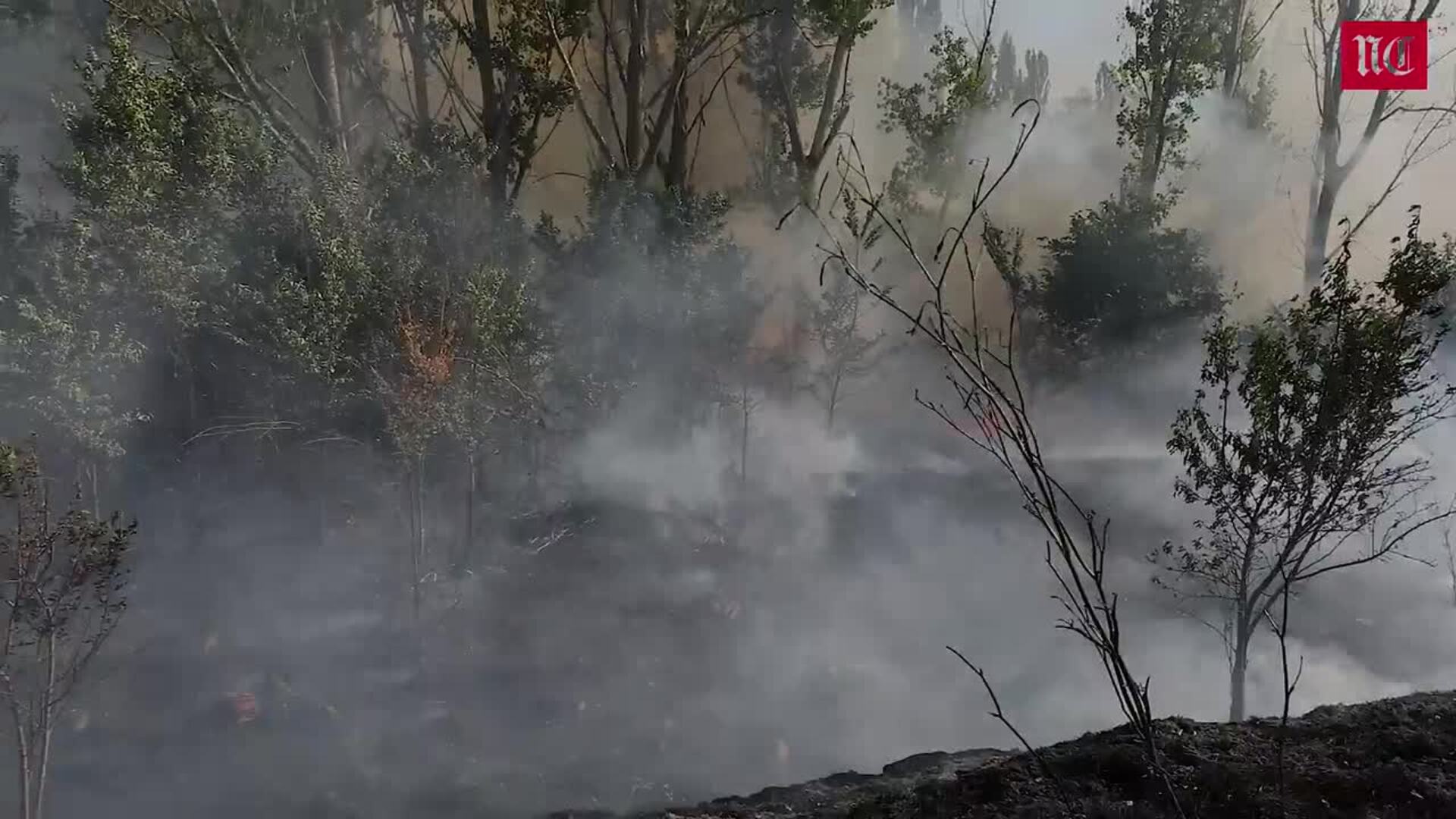 Incendio junto a la antigua Balastera, en Palencia