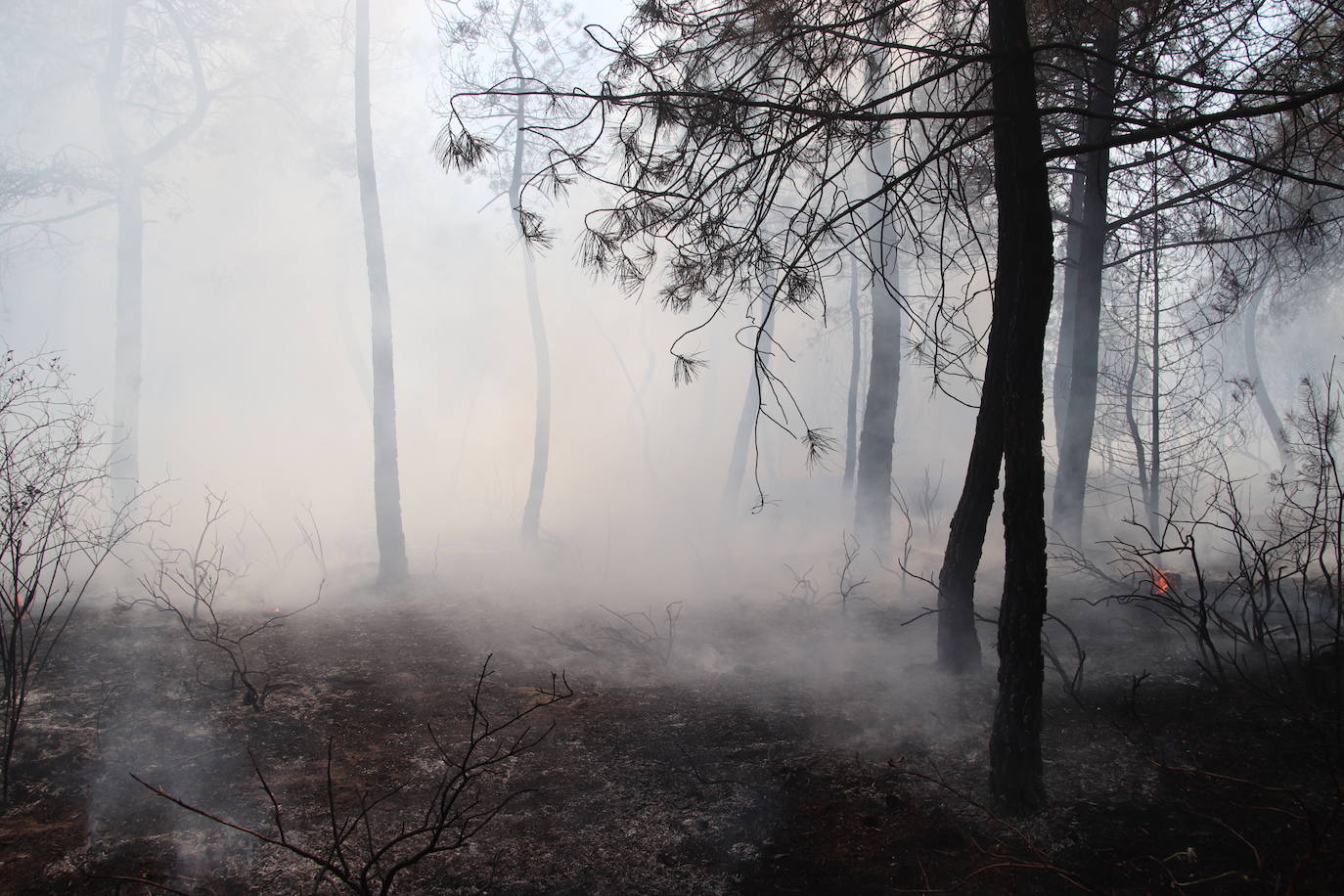 Imagen del incendio declarado en Cuéllar.