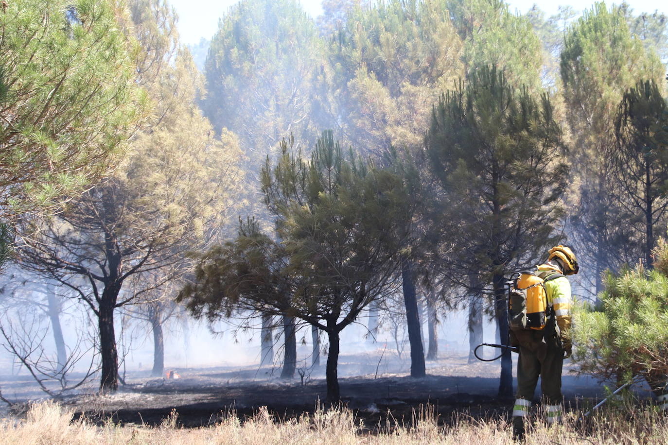 Imagen del incendio declarado en Cuéllar.