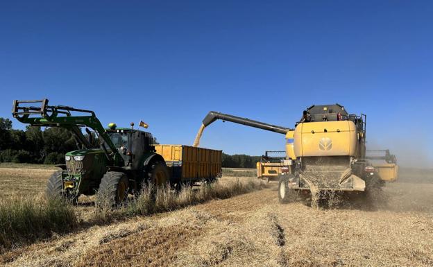 Los agricultores alertan de una gran subida de precios tras una cosecha «irregular y mala»