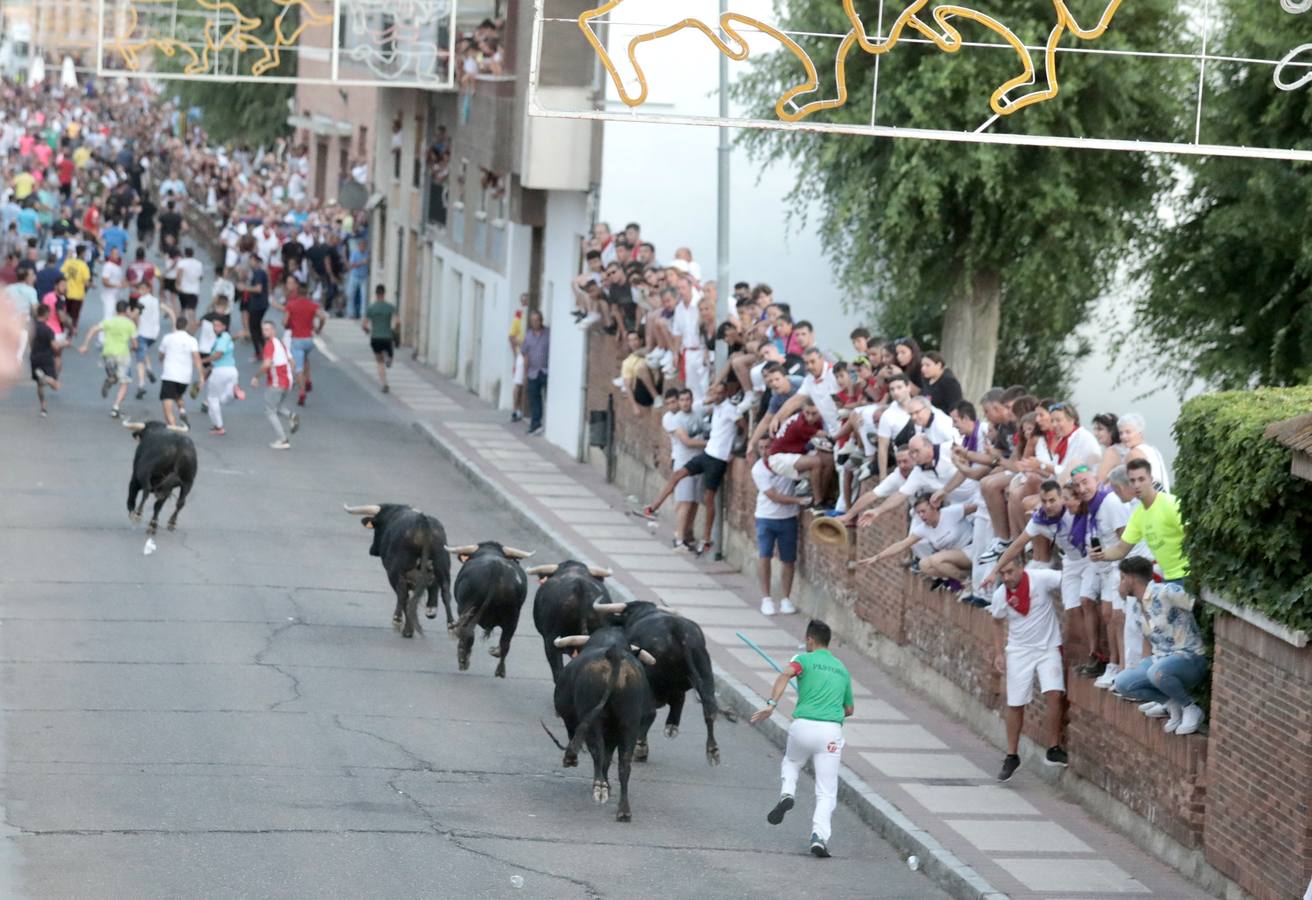 Fotos: Primer encierro de las fiestas de Íscar