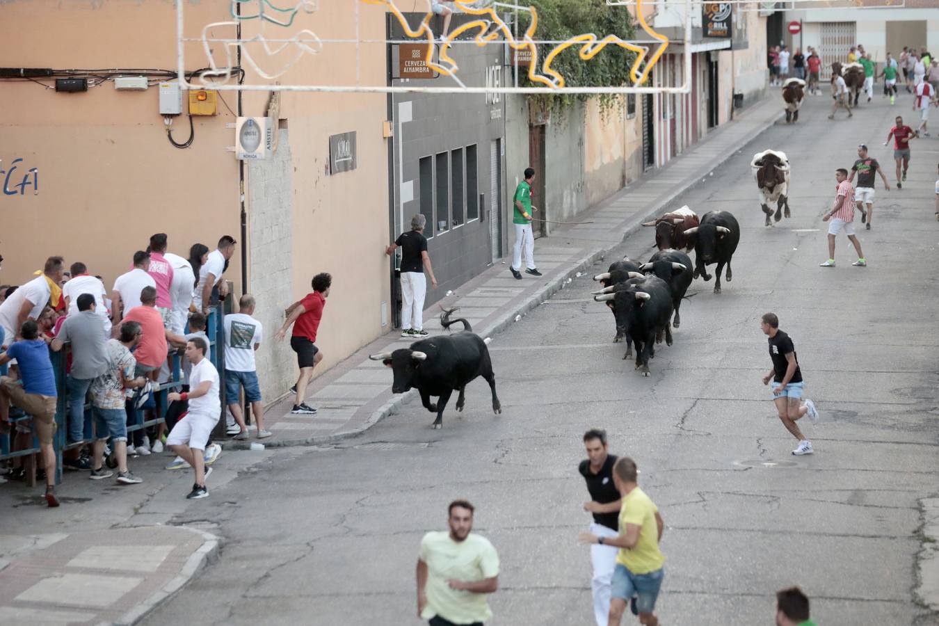 Fotos: Primer encierro de las fiestas de Íscar