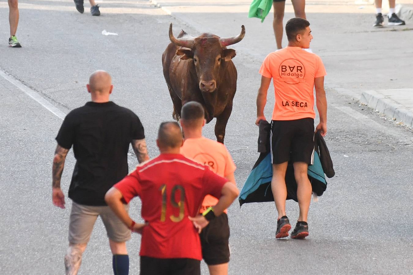 Fotos: Vuelven los festejos taurinos a La Seca en sus tradicionales fiestas de novillos