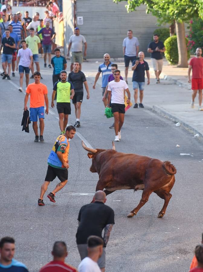 Fotos: Vuelven los festejos taurinos a La Seca en sus tradicionales fiestas de novillos