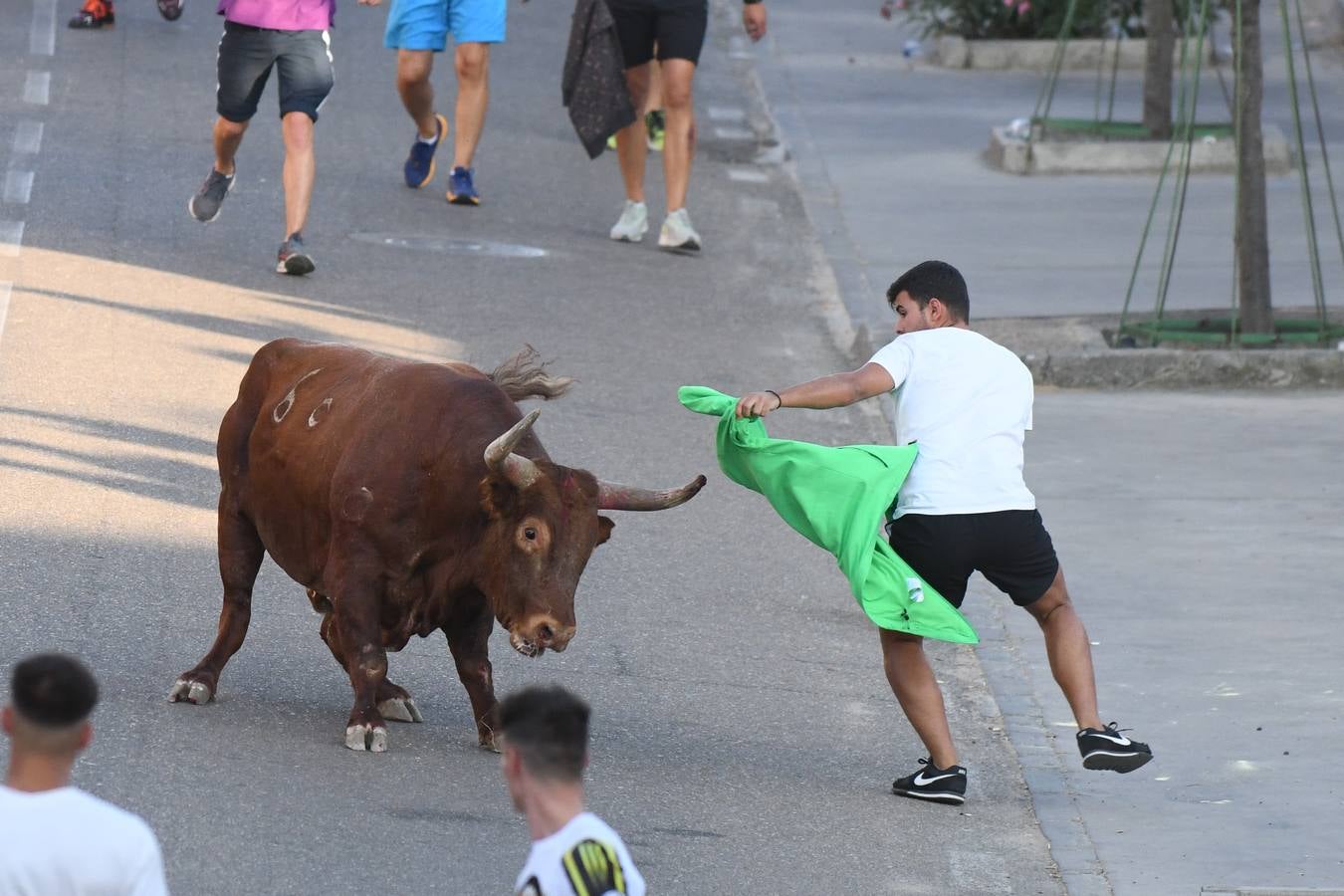 Fotos: Vuelven los festejos taurinos a La Seca en sus tradicionales fiestas de novillos