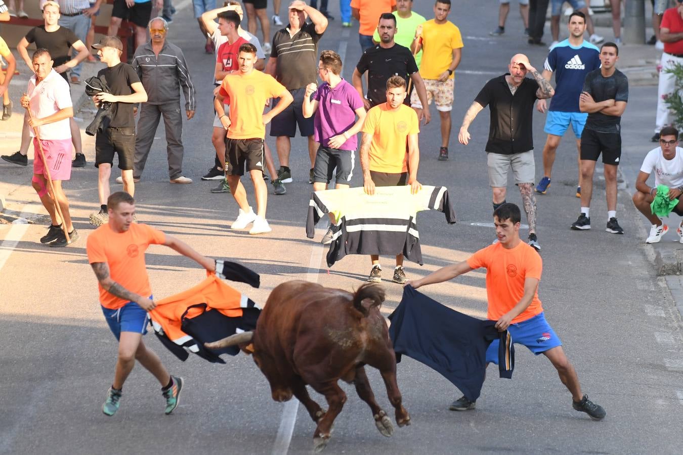 Fotos: Vuelven los festejos taurinos a La Seca en sus tradicionales fiestas de novillos