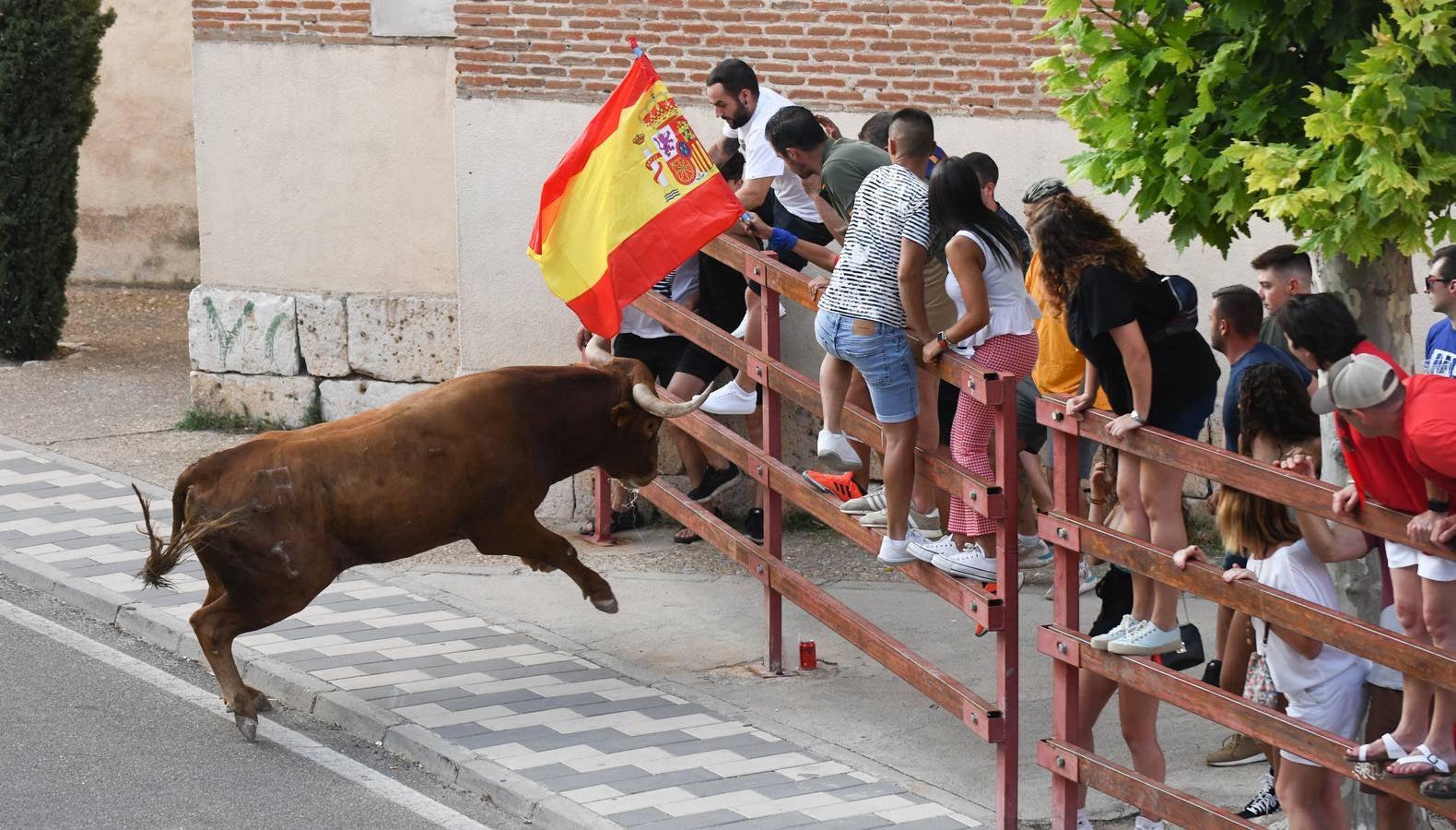 Fotos: Vuelven los festejos taurinos a La Seca en sus tradicionales fiestas de novillos