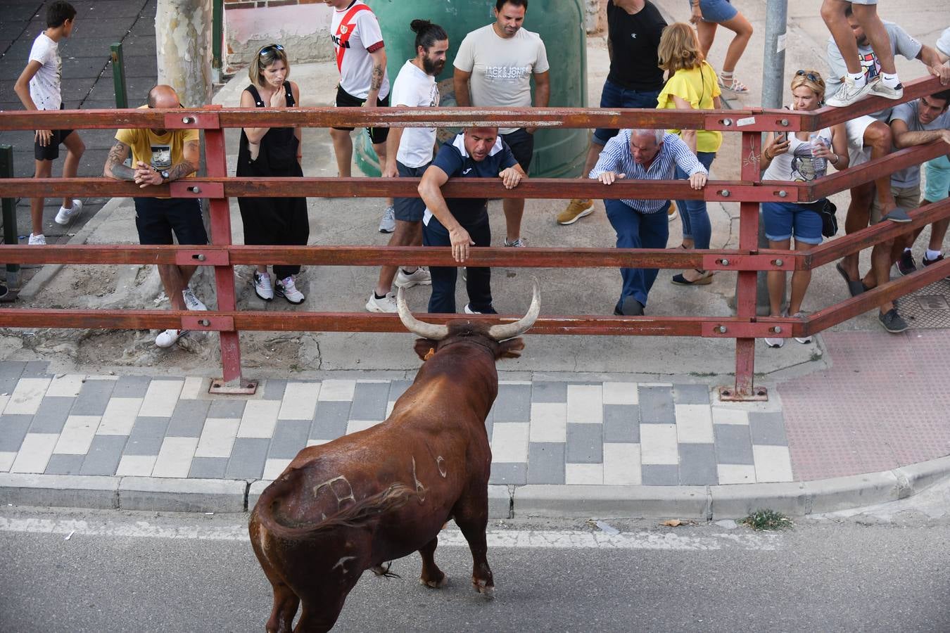 Fotos: Vuelven los festejos taurinos a La Seca en sus tradicionales fiestas de novillos