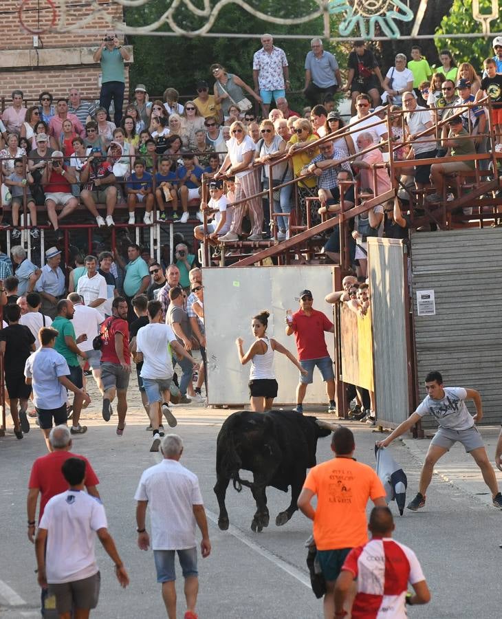 Fotos: Segundo encierro diurno de las fiestas de La Seca