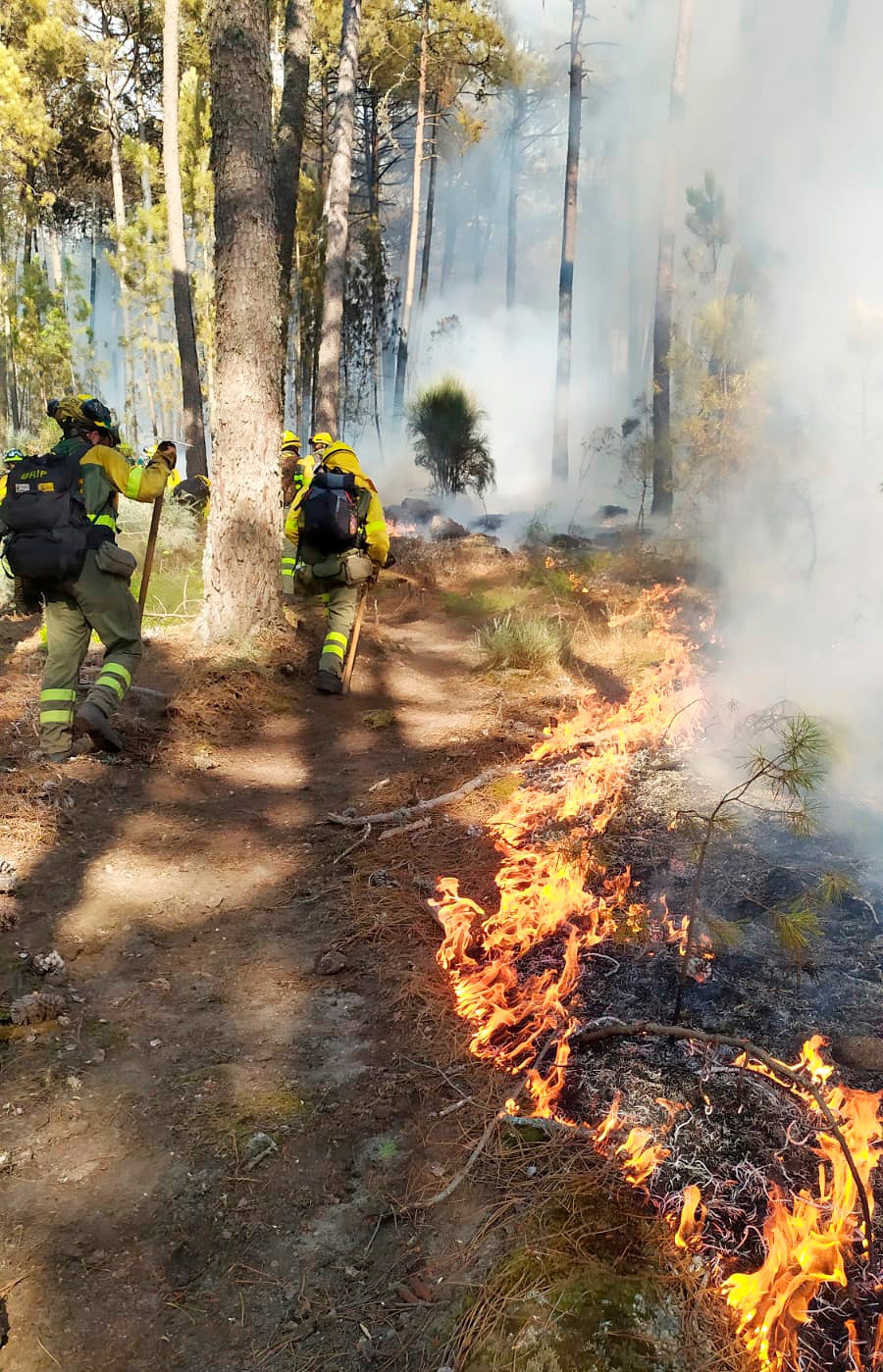 Fotos: Incendio en Santa Cruz del Valle