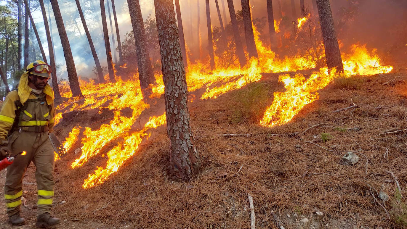 Fotos: Incendio en Santa Cruz del Valle