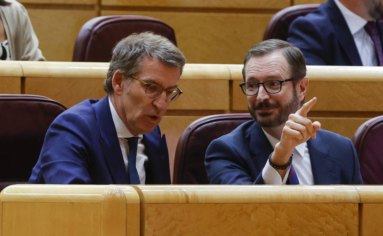 Alberto Núñez Feijóo, en su escaño del Senado junto al portavoz del PP en esa cámara, Javier Maroto.