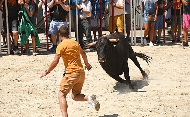 Un joven corta al toro, este domingo en La Seca.